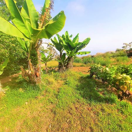 Casa En Finca Ecologica - Wifi La Orotava Zewnętrze zdjęcie