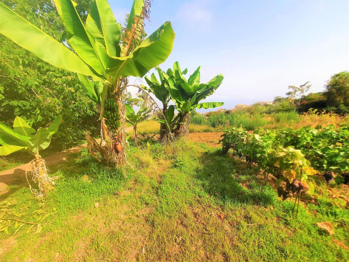 Casa En Finca Ecologica - Wifi La Orotava Zewnętrze zdjęcie