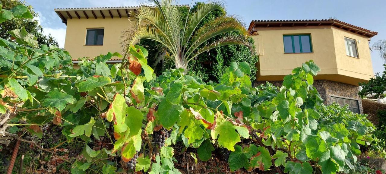 Casa En Finca Ecologica - Wifi La Orotava Zewnętrze zdjęcie